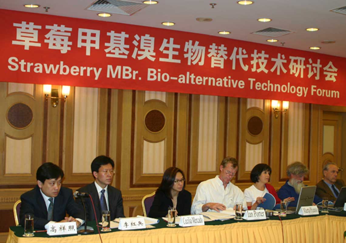 聯(lián)合國環(huán)境署、聯(lián)合國工發(fā)組織等機構出席了我公司舉行的草莓甲基溴生物替代技術(shù)研討會(huì )